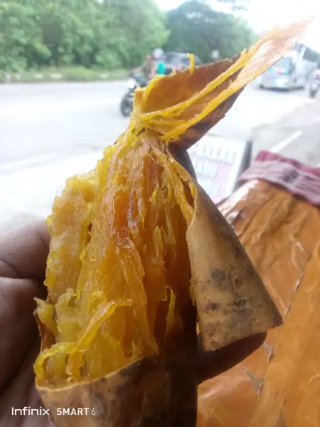 ubi bakar madu cilembu matang